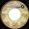 7inch Record LUTAN FYAH  Dip Him NONE Soundbank Music Jamaica Reggae Ska  Dub Used