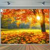 2D Glowing Autumn Sunlit Maple Tree Photography Background