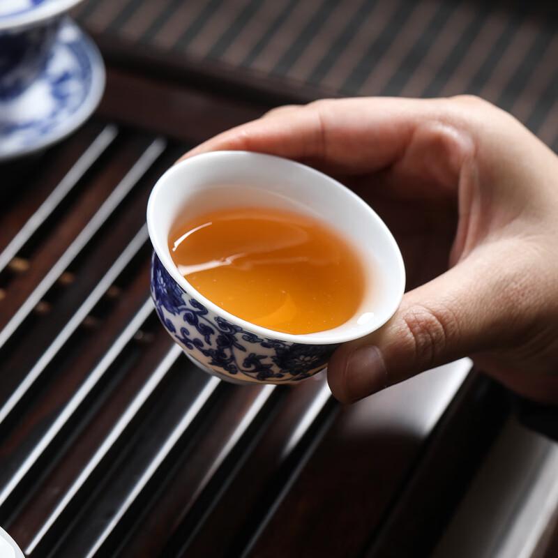 MULTIPOTENT Chinese Blue & White Porcelain Tea Gift Set