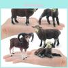 Realistic Farm Black Sheep Goat Lamb Pvc Sheep Lamb Figures For Kids Nursery Play And Learning