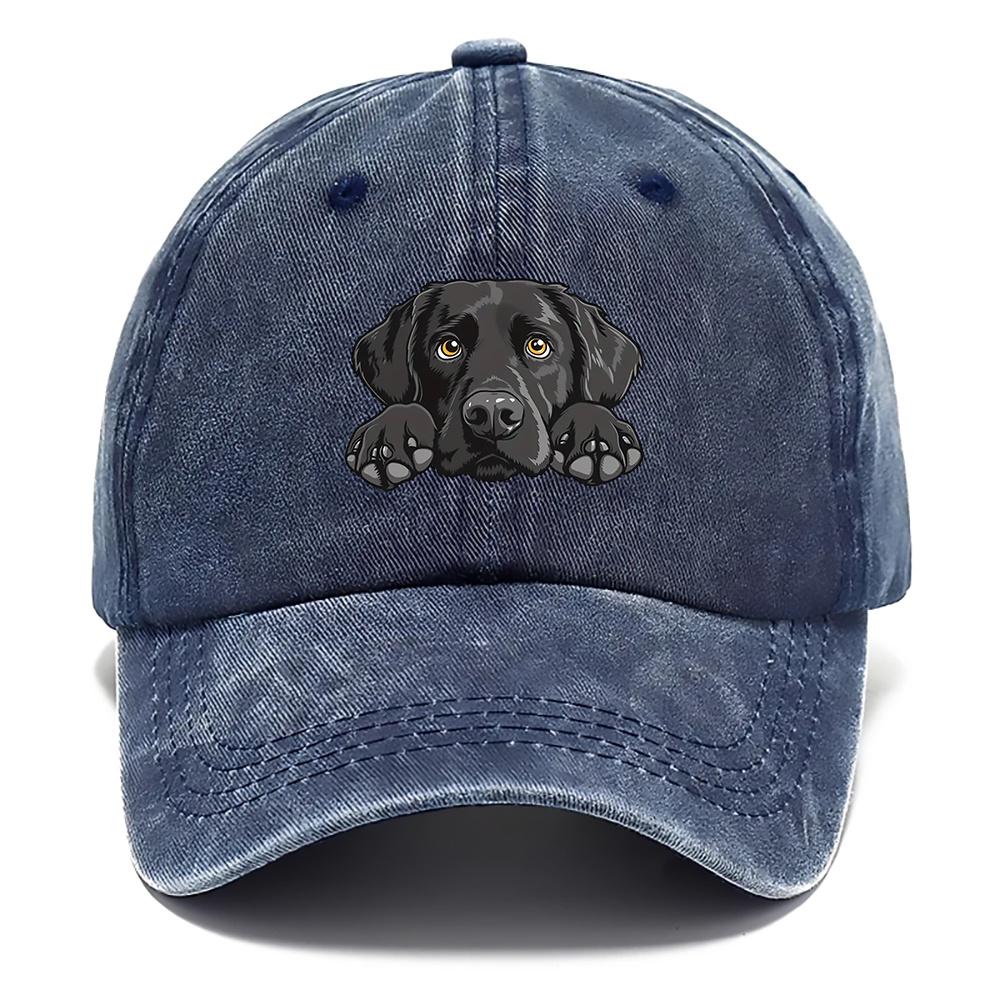 

1pc Labrador Print Baseball Cap,Lightweight Breathable Adjustable Snapback Hat with Curved Brim,Washed Look for Outdoor,tralve Adjustable