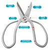 Stainless Steel Pruning Shears Portable Gardening Scissors Bonsai Pruning Flower Branch Trimming Tools Household Cutting Tools