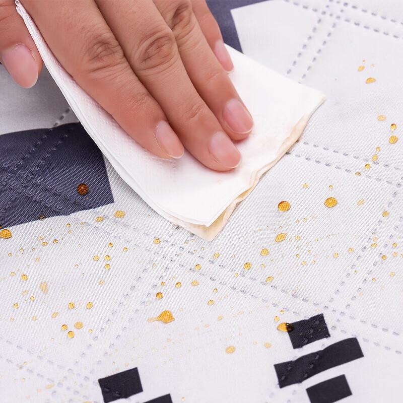 Damai Waterproof Picnic Mat