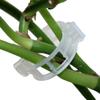 Greenhouse Plant Fixing Clips Garden Plants Flowers Tied Bundle Branch Clip Clamping Tools Garden Supplies Plant Clips 50 Pcs