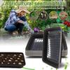 Square Black Cultivation Pot Small Transparent Agricultural Seedling Tray