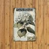 Retro Hydrangea Tin Sign 8x12 Inch Metal Wall Art for Home Cafe Bar