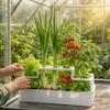 Tuinpotten en -dozen – Kweekcontainers