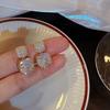 2023 Exquisite Square Zircon Stud Earrings: Trendy, Elegant, and Versatile Fashion Accessory
