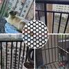 Tewango Anti-Falling Network For Cat Pet Balcony Safety Fence DIY Plastic Mesh Net Stairs Protection 0.8/1.2/1.8cm Grid