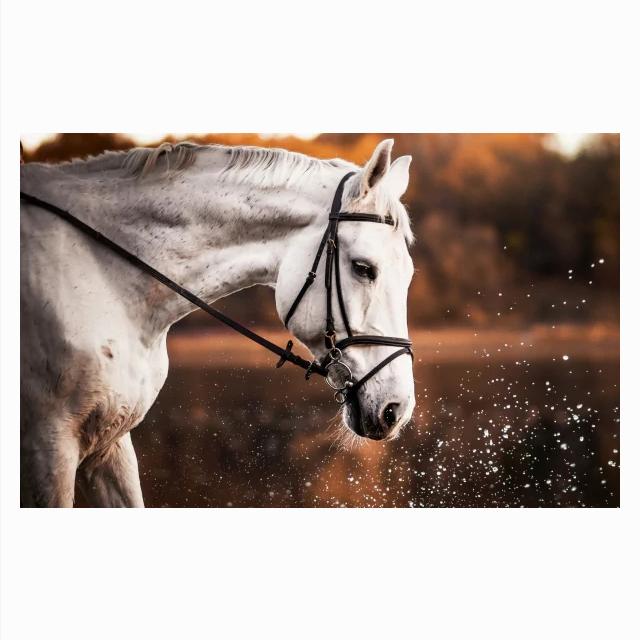 

Черно-белая лошадь, настенное искусство, холст, постеры и принты, минималистичная картина с изображением животных для гостиной, современное украшение для дома 21x30cm No Framed