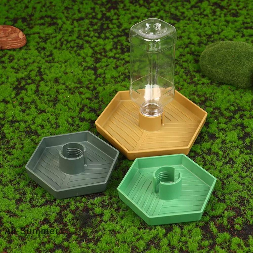 Detachable Turtle Water Bowl Stable Lizard Food Feeder Pet Supplies Reptiles Water Feeder  Vivarium