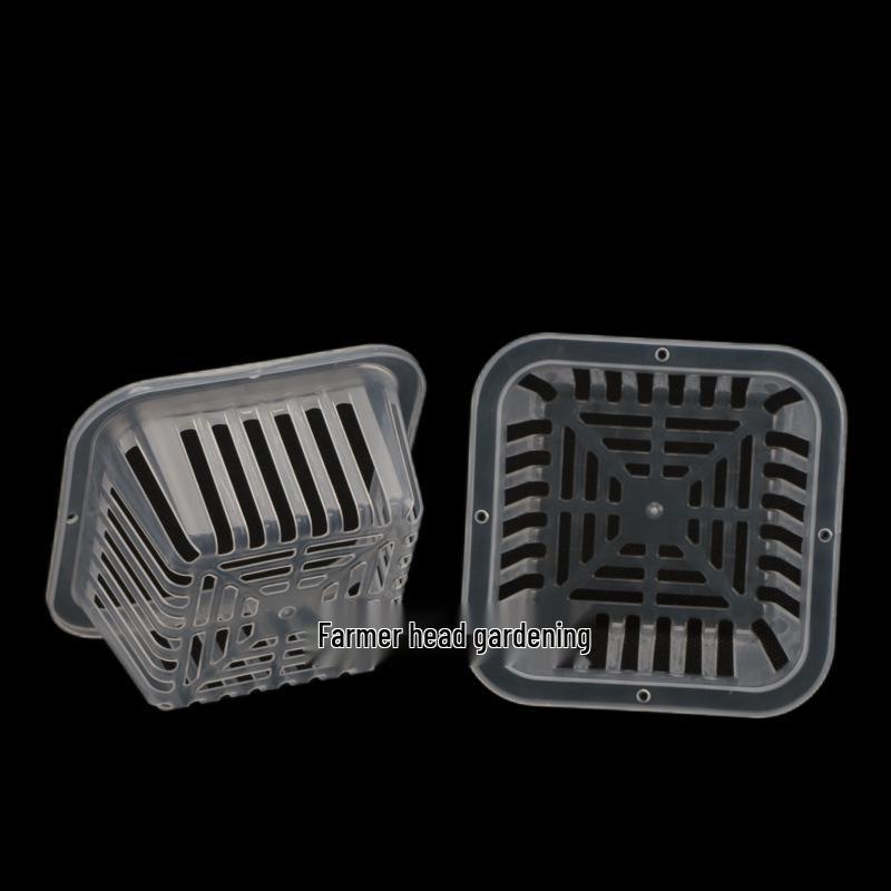Transparent Square Orchid Hydroponic Pot with Observation Basket