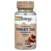 Solaray Fermented Turkey Tail Mushroom 1000mg Veggie Capsules, 60 Count