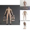 Threeq 1/6 Scale Action Figure Body Model With Posable Features And Accessories For Collectors