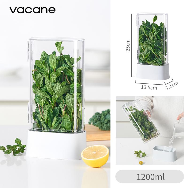 

Coriander and Scallion Hydroponic Preservation Box Garlic Herb Mint Garlic Asparagus Water Cultivation Refrigerator Storage Box