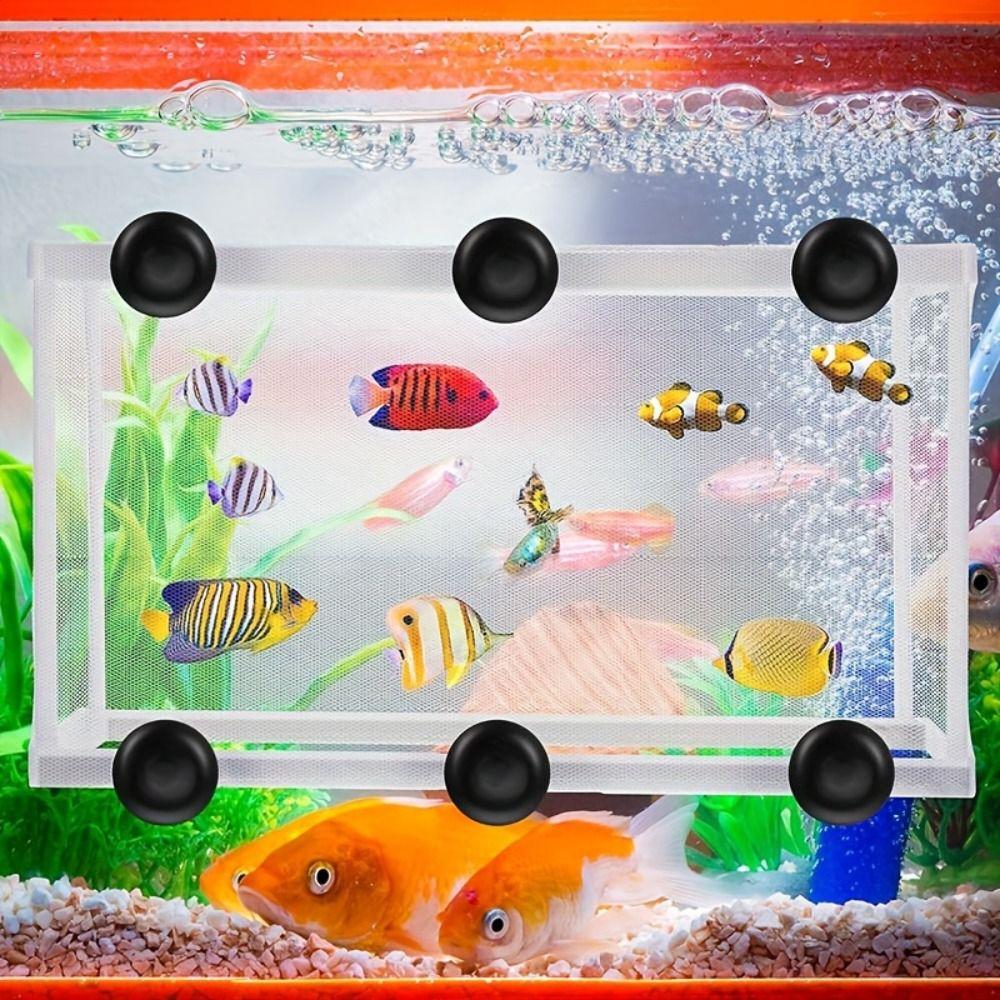 with Suction Cups Breeding Isolation Net Hanging Baby Fish Hatchery  Baby Fishes Shrimp