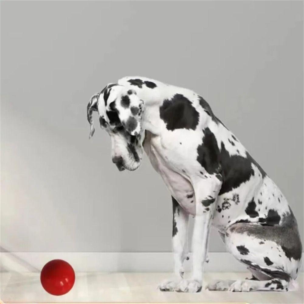 3 Sizes Pet Chewing Ball Non-toxic Solid Elastic Ball Dog supplies Rubber Dog Ball  Cleaning Teeth