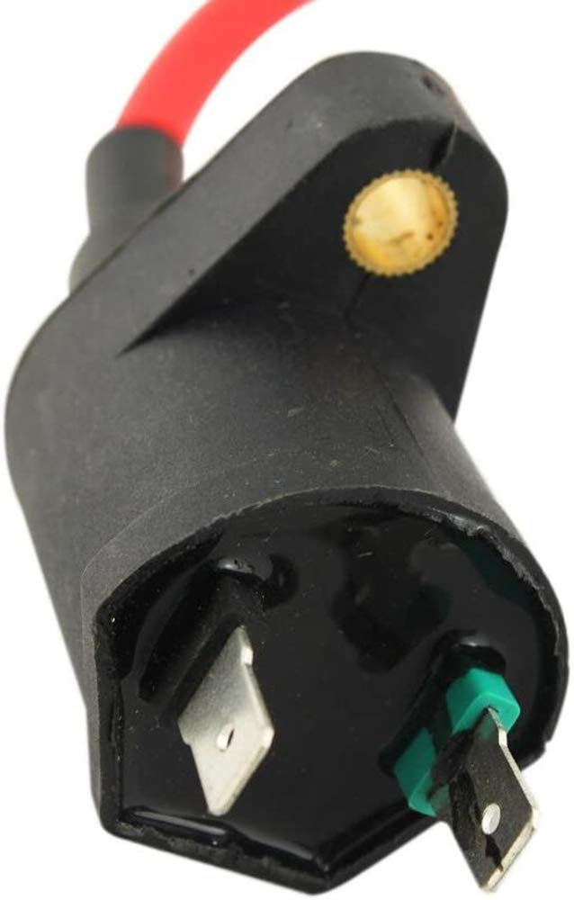 YFFSFDC Ignition Coil ATV Racing Motorcycle Universal 50cc Monkey Cab Plug Cable Cord ASSY