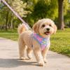 Hunde – Hundehalsbänder & Leinen