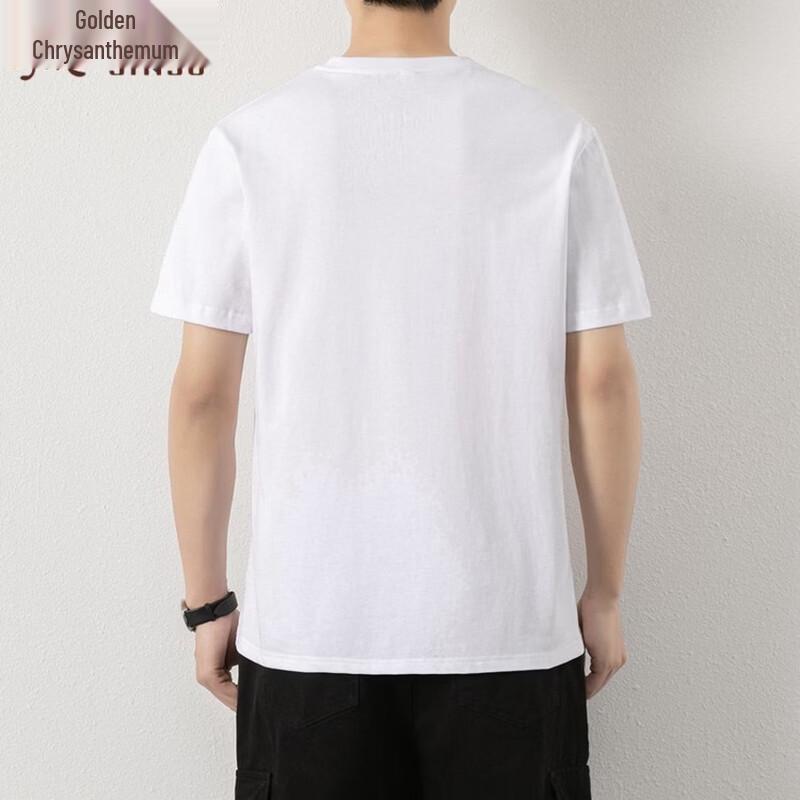 Men's Basic 100% Cotton Short Sleeve T-shirt