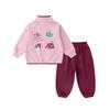 Girls' Cute Autumn Sweatshirt & Pants Set