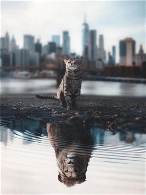 Broderie cu diamante 5D cu punct de cruce Wolf Diamond Art Painting Mozaic alb-negru Cadou lucrat manual