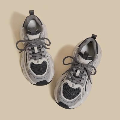 Dad Shoes Women's Spring New Versatile Breathable Casual Shoes Sports Shoes Small Height-increasing Platform Women's Shoes