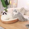 New New Ragdoll Cat Doll Plush Toy Kitten Siamese Cat Doll Ragdoll Children's Birthday Gift Doll