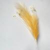 New Solid Color Colorful Peacock Grass Floral Decor Wedding Decorations Simulated Reed Grass Artificial Bouquet Office