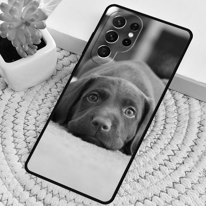 Cute Labrador Puppy Dog Phone Case for Samsung Galaxy note 10 pro S26 Ultra S23 S24 FE S25 S21 S22 PLUS shockproof Cove
