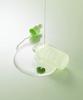 Centella PDRN Calm Ampoule 30ml