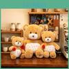 Cartoon Rose Bear Plush Toy With Soft Pp Cotton For Girl Friendship Gift