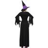 Halloween, witch costume, purple vampire witch costume, women's costume, masquerade, show uniform dress.