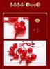 In-Stock New Year Red Lantern LED Curtain Lights for Festive Atmosphere and Spring Festival Decoration
