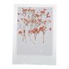 12 Pieces Pressed Real Dried Flowers for DIY Scrapbooking