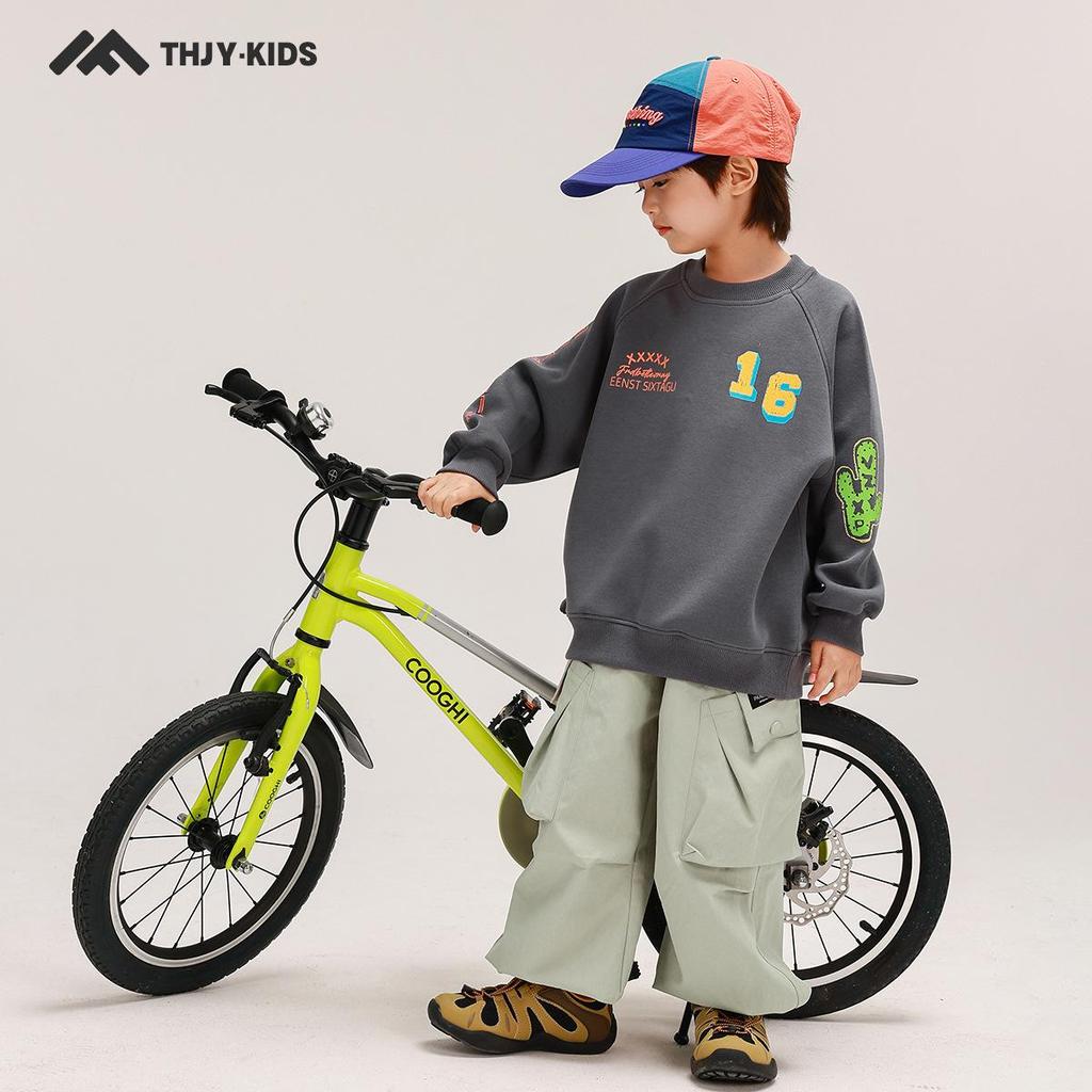 Boys' Autumn 2025 Long Sleeve Casual Sweatshirt