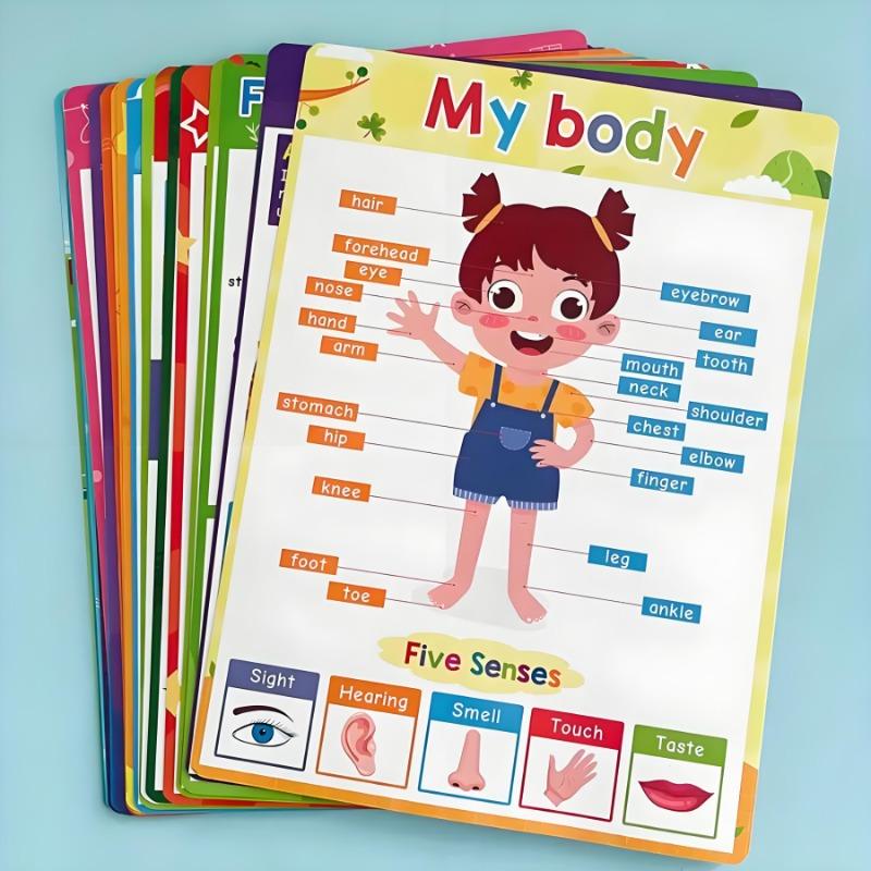 Children Educational English Learning Cognitive Posters For Kids