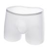 Men's Spring-Summer Ice Silk 3D Seamless Boxer Briefs – Lightweight, Transparent, Plus Size