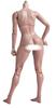 HiPlay worldbox 1/6 Scale Female Body, Super Articulated Figure Doll (Thigh Body Type, AT202 (Tan Skin)) (Tan Skin)