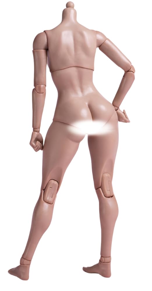 HiPlay worldbox 1/6 Scale Female Body, Super Articulated Figure Doll (Thigh Body Type, AT202 (Tan Skin)) (Tan Skin)