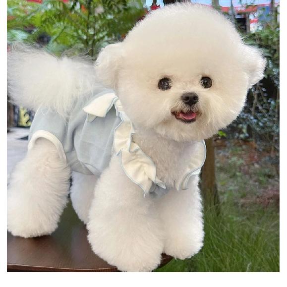 Teddy Four-Legged Neuter Suit Pet Autumn Vest Puppy Belly Protection Sleepwear Solid Colour Dog Clothes