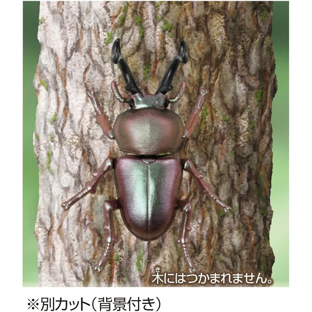 Takara Tomy Ania AS-42 Rainbow Stag Beetle Toy for Ages 3 and Up Animal Dinosaur Insect