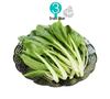 Stainless Steel Retractable Steamer Basket and Draining Rack