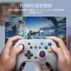 Switch Controller Wireless Hall Effect Stick RGB Light Back Buttons TURBO Rapid Fire 4-level Vibration Adjustment 6-axis Gyro Sensor 800mAh Battery PC