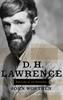 Bok D. H. Lawrence : The Life of an Outsider