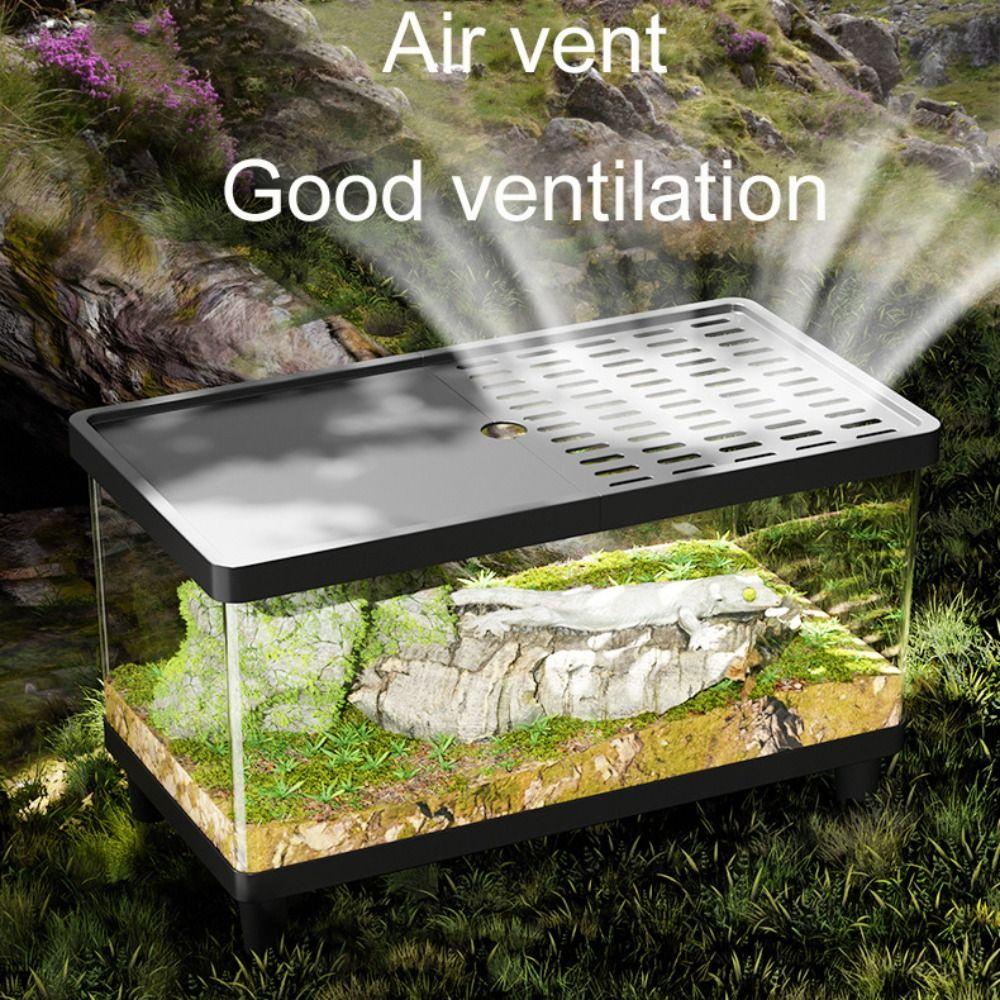 Transparent Lizard Breeding Box Breathable Insect Observation Box Reptile Terrarium  Amphibians