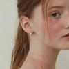 Water Drop Earrings EC3073