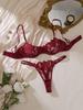 Sweet Lace Embroidered Mesh See-Through Lingerie Set