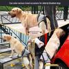 Cross-Border Travel Back Support Carrier for Senior or Injured Dogs