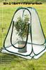 YFFSFDC Vinyl Greenhouse Pop-Up Plant Greenhouse Waterproof Windproof Rainproof Foldable PVC Cover Garden Greenhouse 70*70*80cm Safe from Long Summer